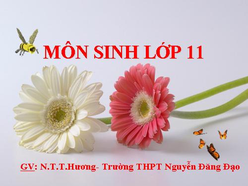 Bài 10. Ảnh hưởng của các nhân tố ngoại cảnh đến quang hợp