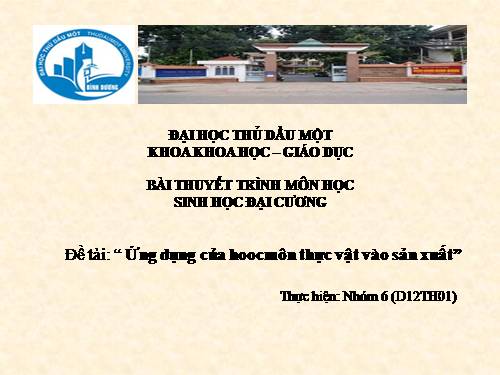 Bài 35. Hoocmôn thực vật