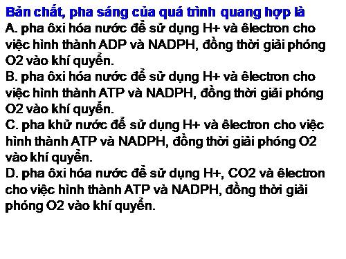 Bài 10. Ảnh hưởng của các nhân tố ngoại cảnh đến quang hợp