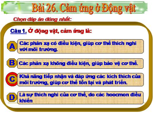 Bài 26. Cảm ứng ở động vật