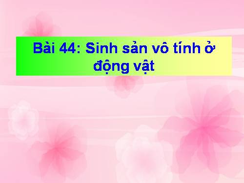 Bài 44. Sinh sản vô tính ở động vật