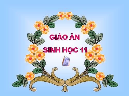 Bài 31. Tập tính của động vật