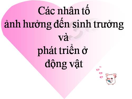 Bài 38. Các nhân tố ảnh hưởng đến sinh trưởng và phát triển ở động vật