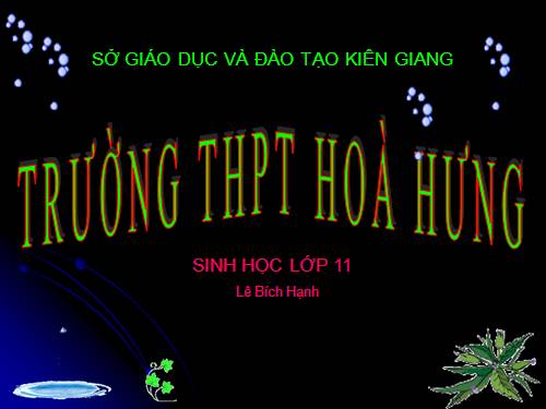 Bài 45. Sinh sản hữu tính ở động vật