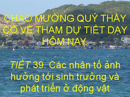 Bài 38. Các nhân tố ảnh hưởng đến sinh trưởng và phát triển ở động vật