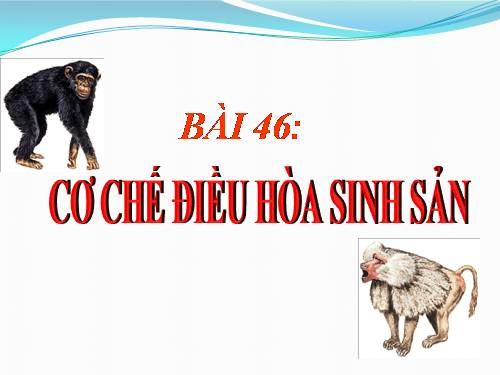 Bài 46. Cơ chế điều hòa sinh sản