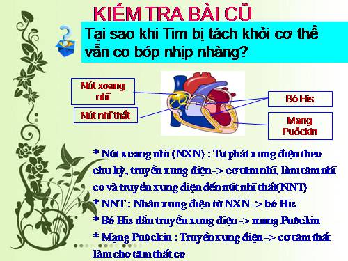 Bài 20. Cân bằng nội môi