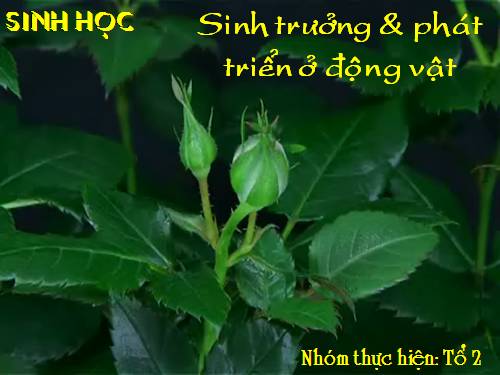 Bài 37. Sinh trưởng và phát triển ở động vật