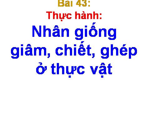 Bài 43. Thực hành: Nhân giống vô tính ở thực vật bằng giấm, chiết, ghép