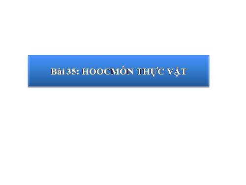 Bài 35. Hoocmôn thực vật