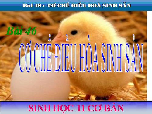 Bài 46. Cơ chế điều hòa sinh sản