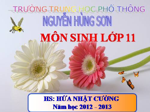 Bài 34. Sinh trưởng ở thực vật