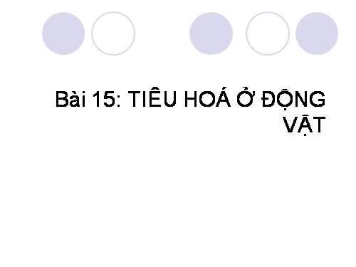 Bài 15. Tiêu hoá ở động vật