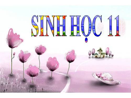 Bài 12. Hô hấp ở thực vật