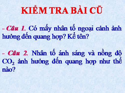 Bài 11. Quang hợp và năng suất cây trồng