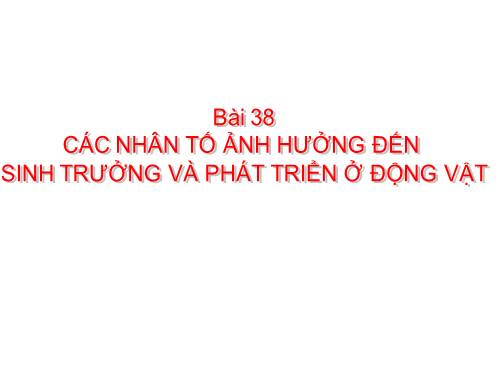 Bài 38. Các nhân tố ảnh hưởng đến sinh trưởng và phát triển ở động vật