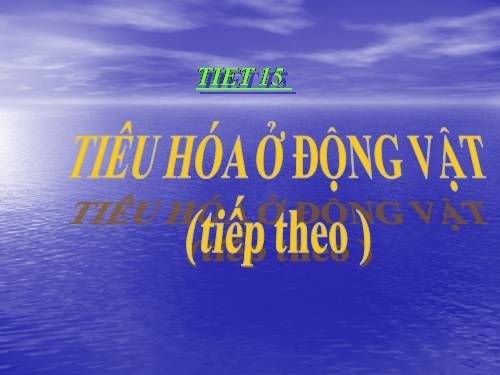 Bài 16. Tiêu hoá ở động vật (tiếp theo)