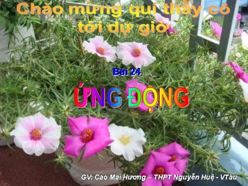 Bài 24. Ứng động