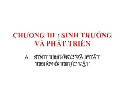 Bài 34. Sinh trưởng ở thực vật