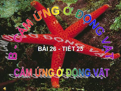 Bài 26. Cảm ứng ở động vật