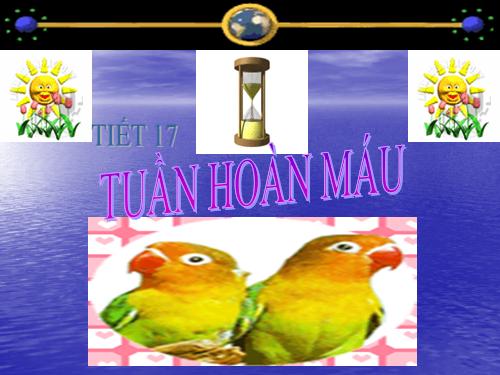 Bài 18. Tuần hoàn máu