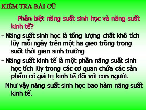 Bài 12. Hô hấp ở thực vật