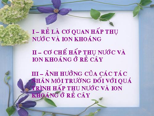 Bài 1. Sự hấp thụ nước và muối khoáng ở rễ