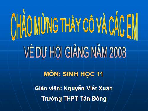 Bài 34. Sinh trưởng ở thực vật