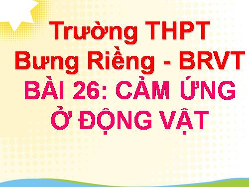 Bài 26. Cảm ứng ở động vật