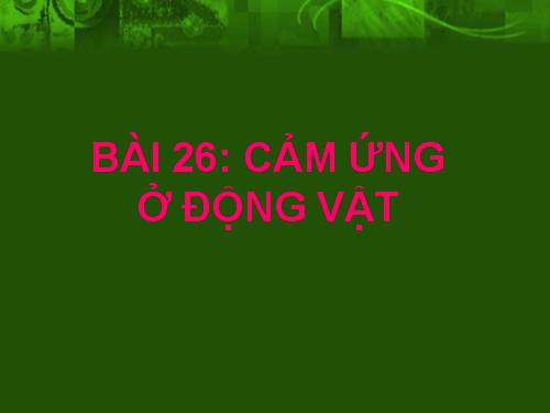 Bài 26. Cảm ứng ở động vật