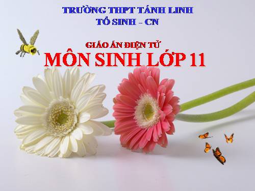 Bài 8. Quang hợp ở thực vật