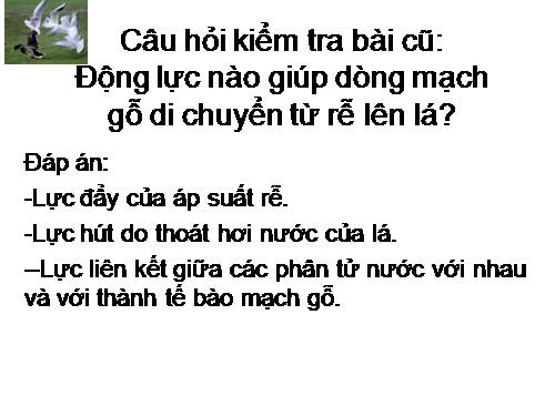 Bài 3. Thoát hơi nước