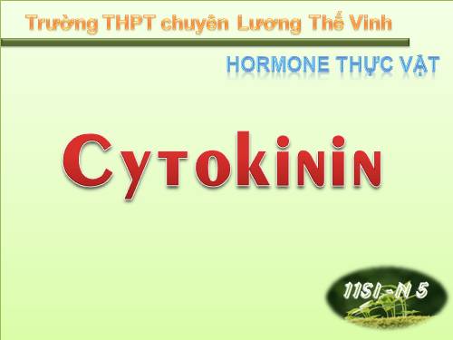 Hormone thực vật Cytokinin