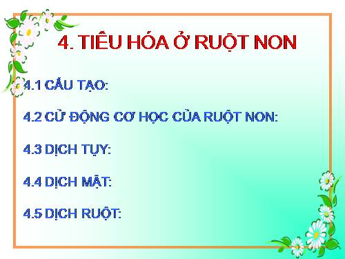 Bài 15. Tiêu hoá ở động vật