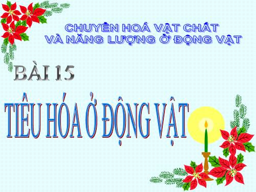 Bài 15. Tiêu hoá ở động vật