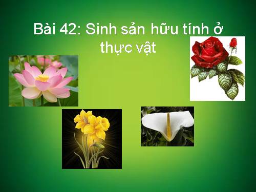 Bài 42. Sinh sản hữu tính ở thực vật