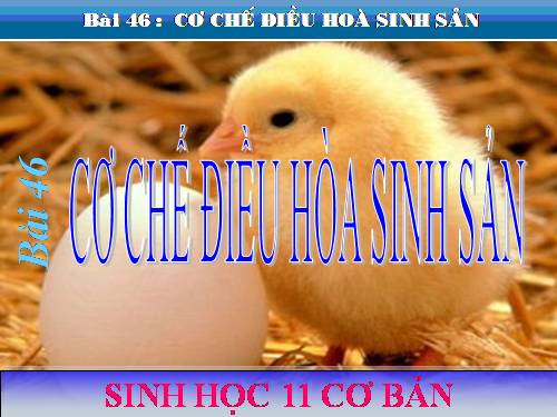 Bài 46. Cơ chế điều hòa sinh sản