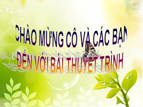 Bài 44. Sinh sản vô tính ở động vật