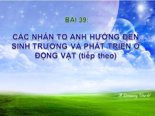 Bài 39. Các nhân tố ảnh hưởng đến sinh trưởng và phát triển ở động vật (tiếp theo)