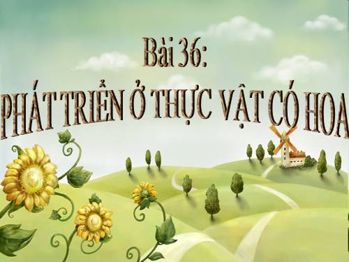 Bài 36. Phát triển ở thực vật có hoa