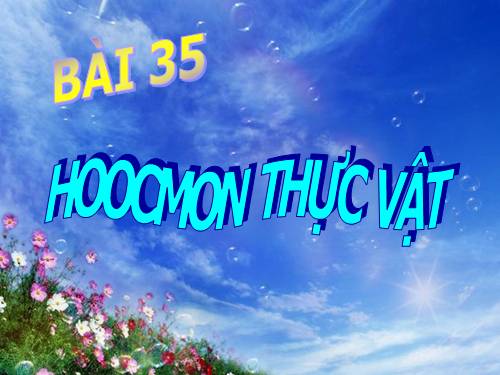 Bài 35. Hoocmôn thực vật