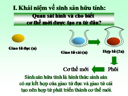 Bài 42. Sinh sản hữu tính ở thực vật