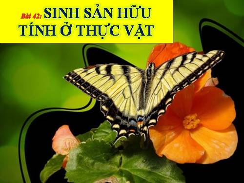 Bài 42. Sinh sản hữu tính ở thực vật