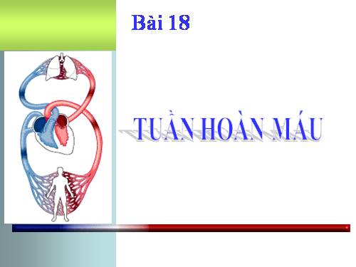 Bài 18. Tuần hoàn máu