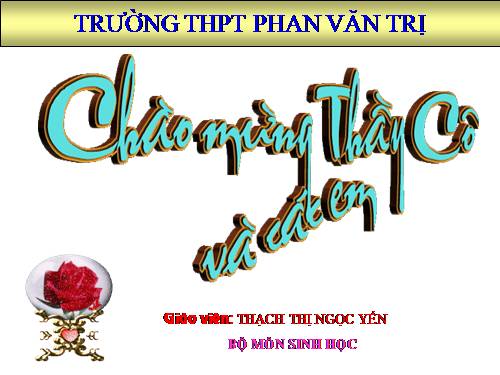 Bài 34. Sinh trưởng ở thực vật