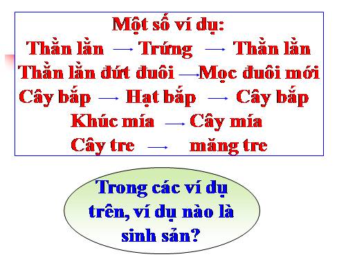 Bài 41. Sinh sản vô tính ở thực vật