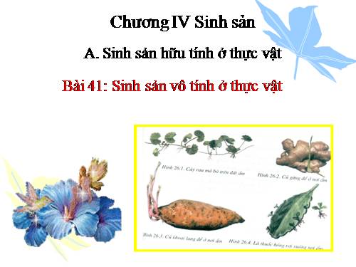 Bài 41. Sinh sản vô tính ở thực vật