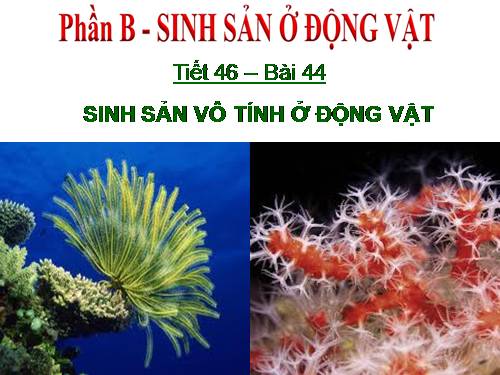 Bài 44. Sinh sản vô tính ở động vật