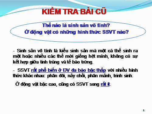 Bài 45. Sinh sản hữu tính ở động vật