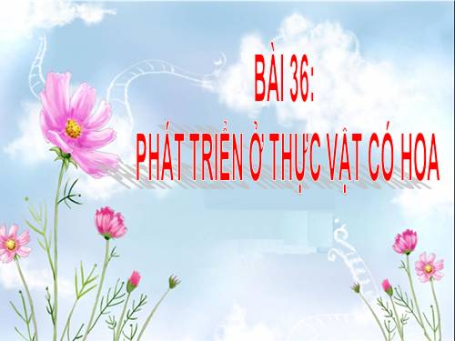 Bài 36. Phát triển ở thực vật có hoa